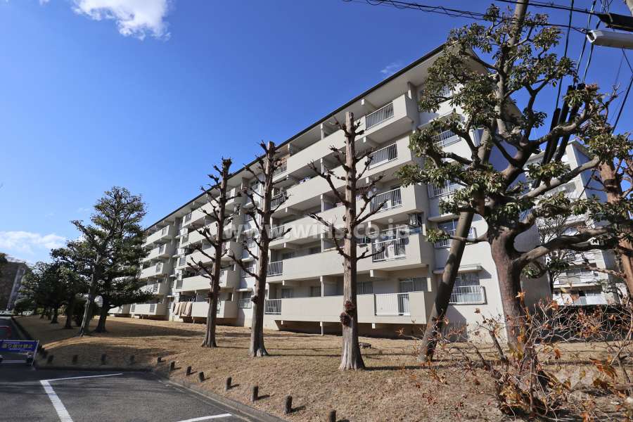 藤の木団地8号棟の外観（南東側から）