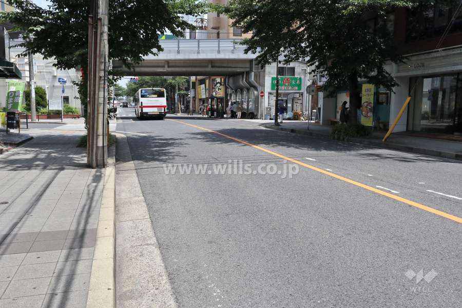 敷地南側の前面道路（西側から）
