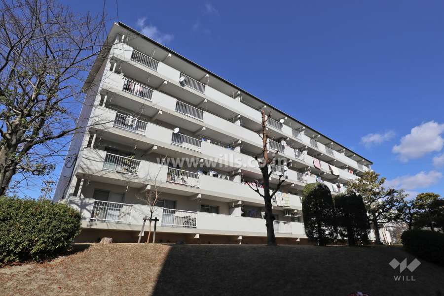 藤の木団地4号棟の外観（南西側から）