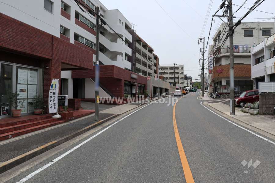 敷地北側の前面道路（東側から）