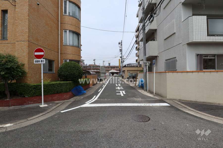 敷地北東側の前面道路（南東側から）