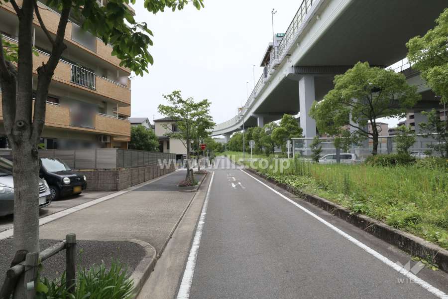 敷地南側の前面道路（西側から）