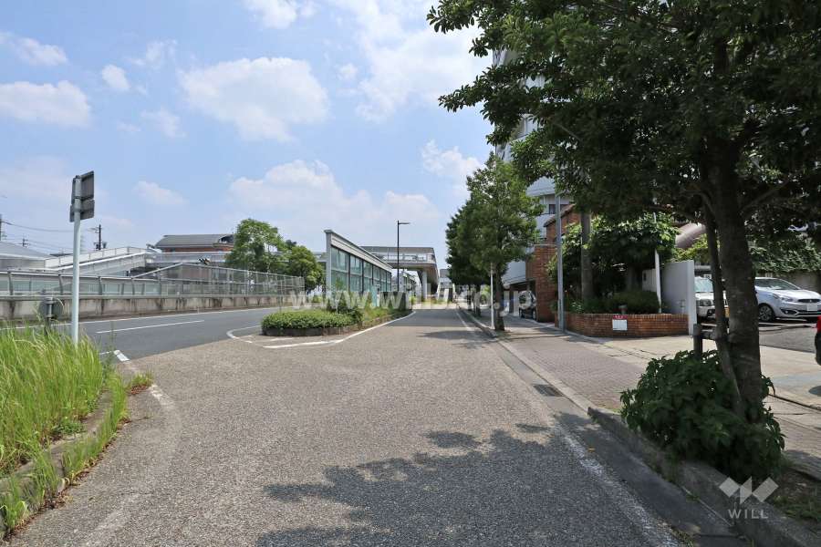 敷地東側の前面道路（北側から）