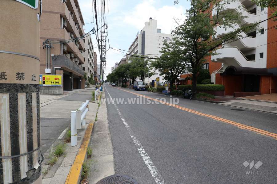 敷地北側の前面道路（西側から）