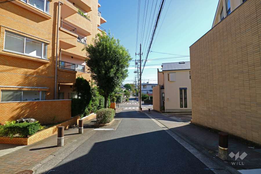 敷地西側の前面道路