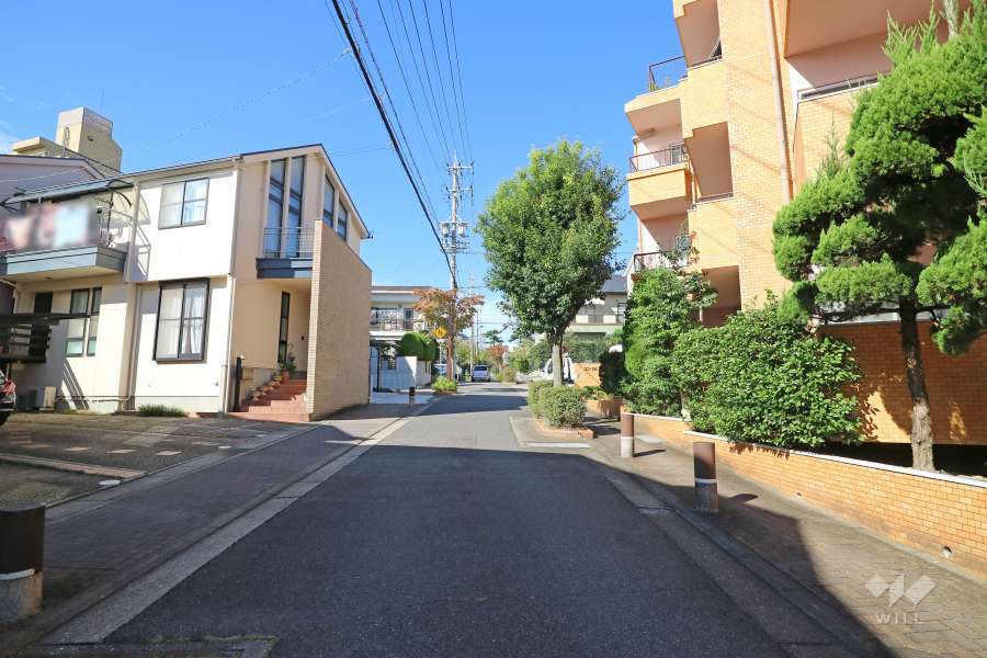 敷地西側の前面道路