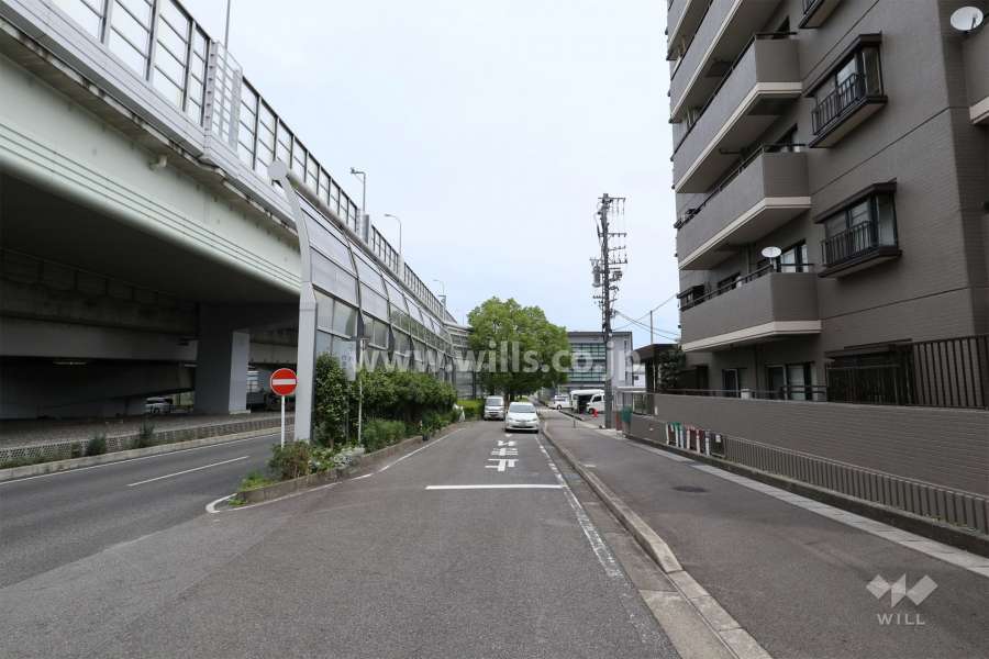 敷地西側の前面道路（南側から）