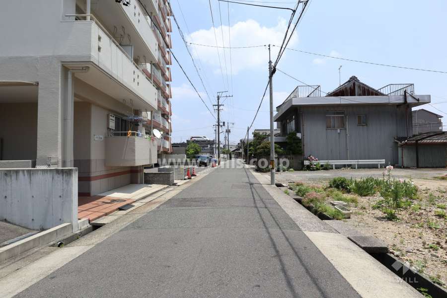 敷地南側の前面道路（西側から）