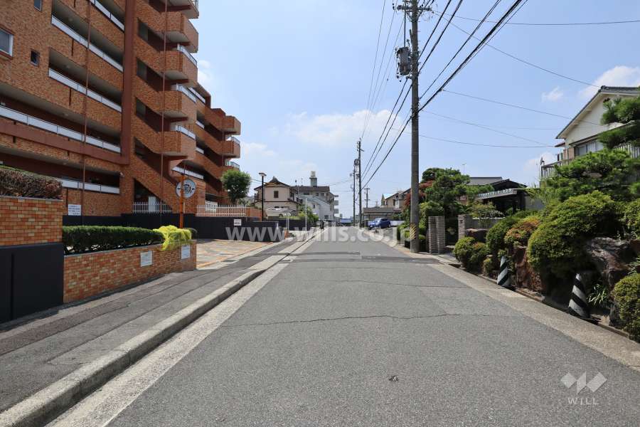 敷地北側の前面道路（東側から）