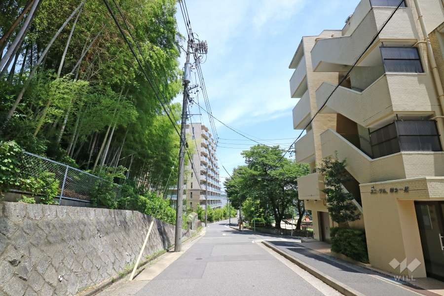 敷地の北側前面道路