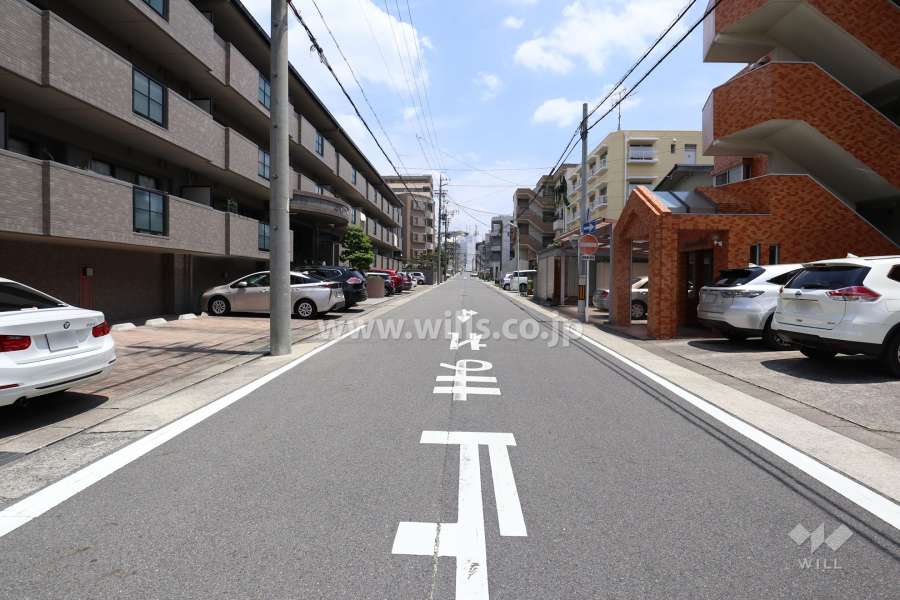 敷地北側の前面道路（西側から）