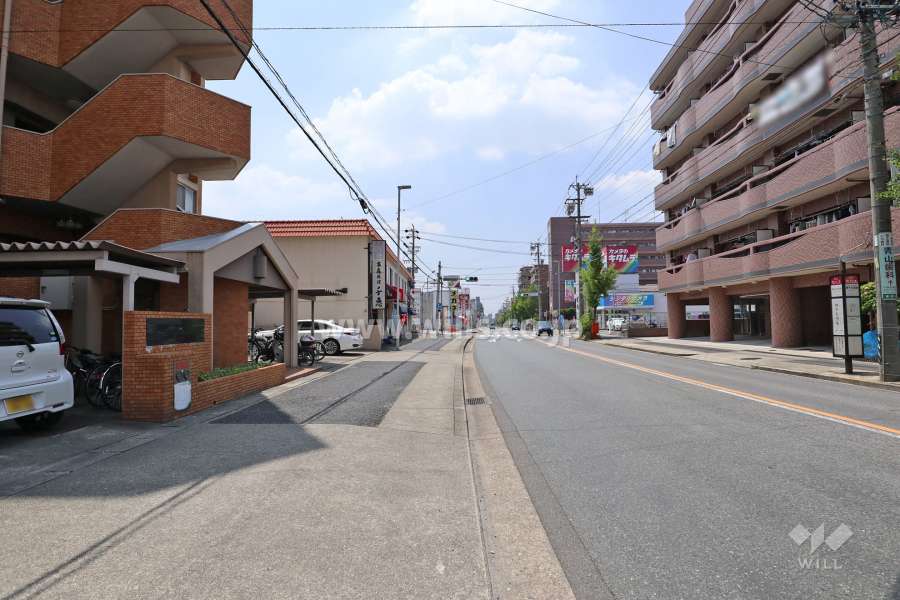 敷地北側の前面道路（東側から）