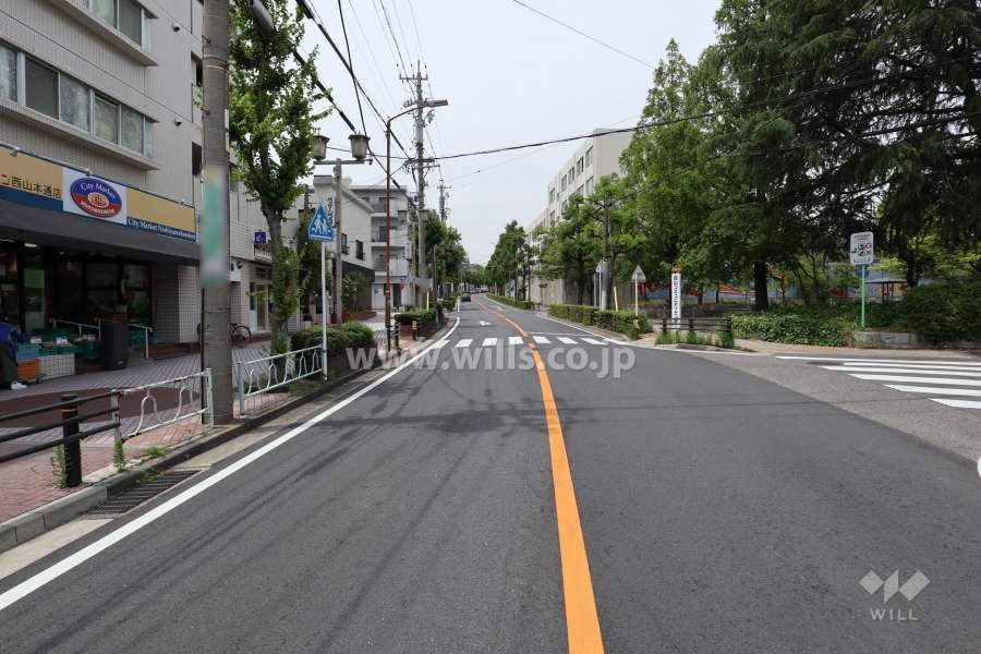 敷地北東側の前面道路（南東側から）