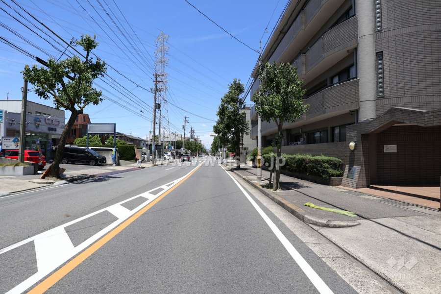 敷地北東側の前面道路（南東側から）