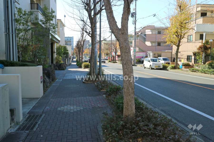 敷地西側の前面道路