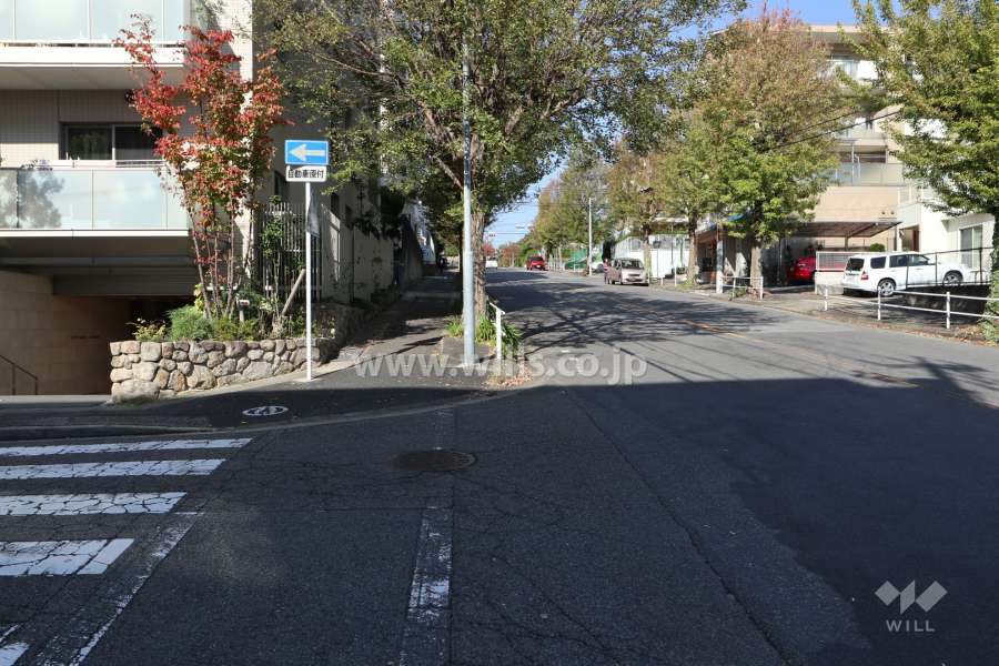 敷地東側の前面道路