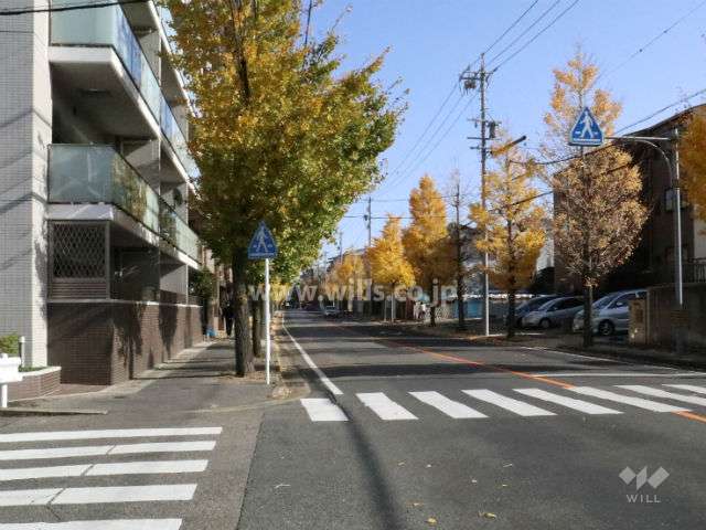 敷地の前面道路