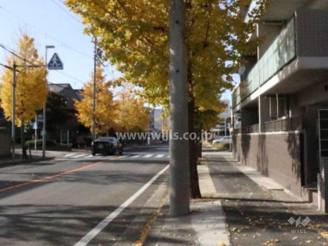 敷地の前面道路