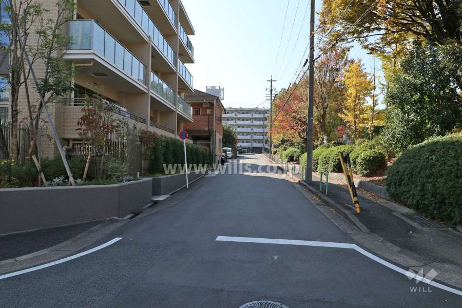 敷地西側の前面道路