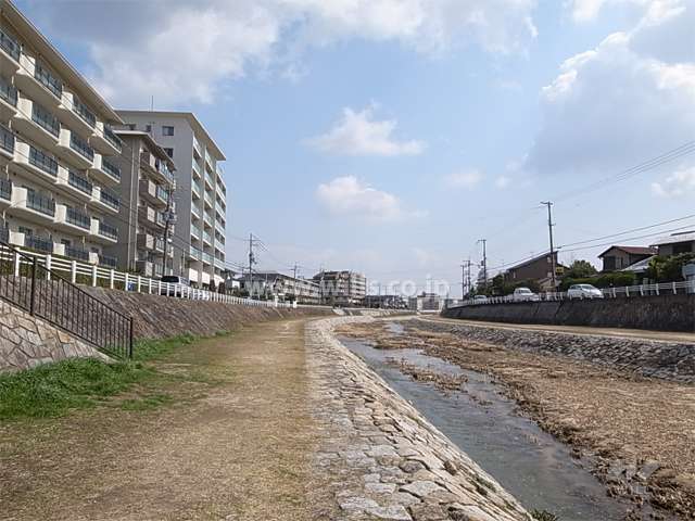 敷地南側には仁川が流れています。