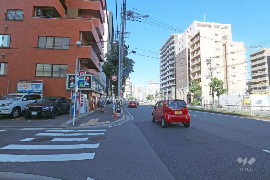 敷地南東側の前面道路（南西側から）