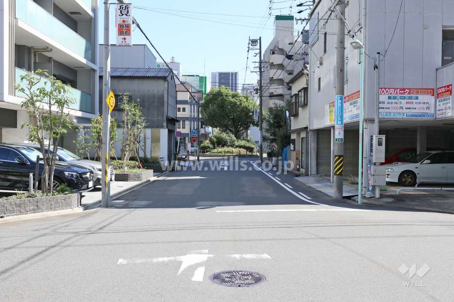 敷地南側の前面道路（西側から）