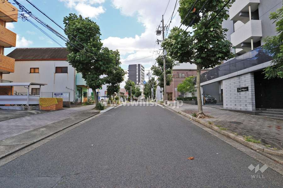 敷地北側の前面道路（西側から）