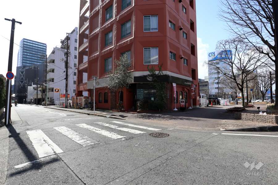 敷地北側と東側の前面道路（北東側から）