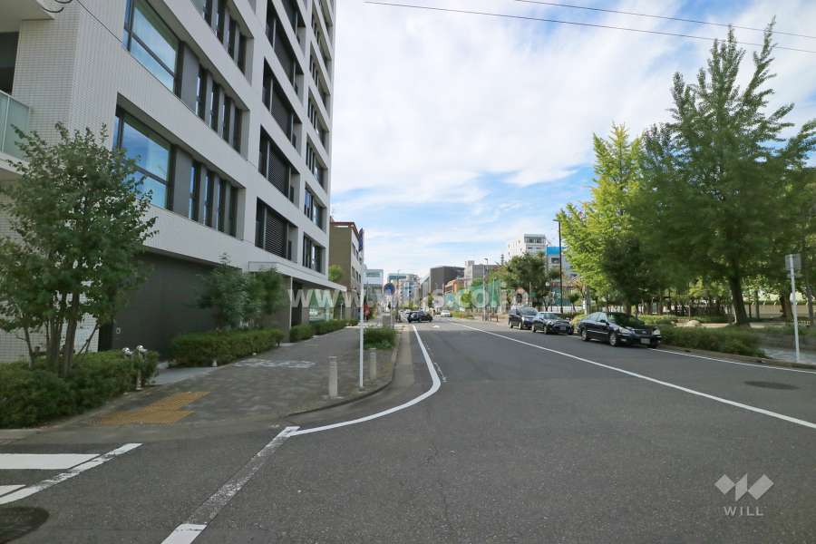 敷地北側の前面道路（東側から）