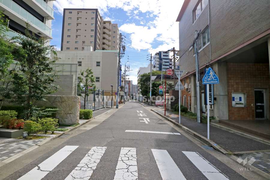 敷地西側の前面道路（北側から）