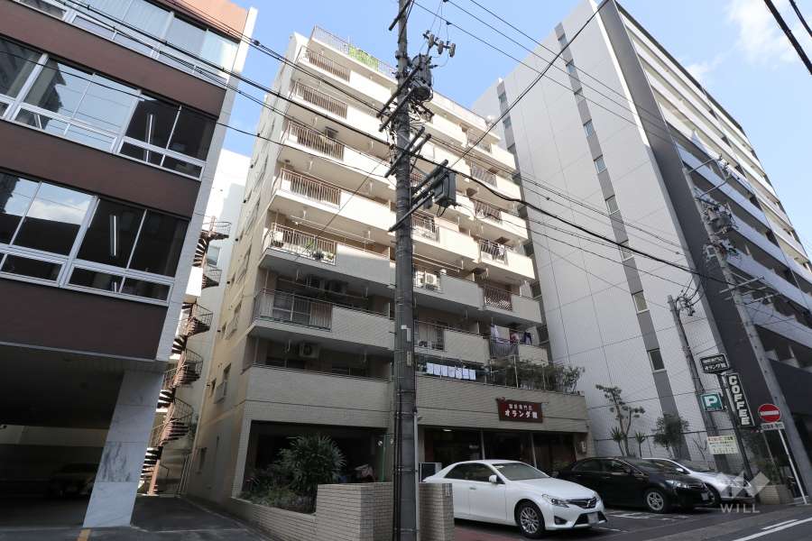 ダイアパレス葵の外観（南西側から）