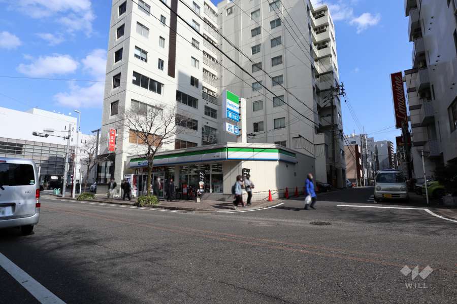 敷地南東側の前面道路（南西側から）