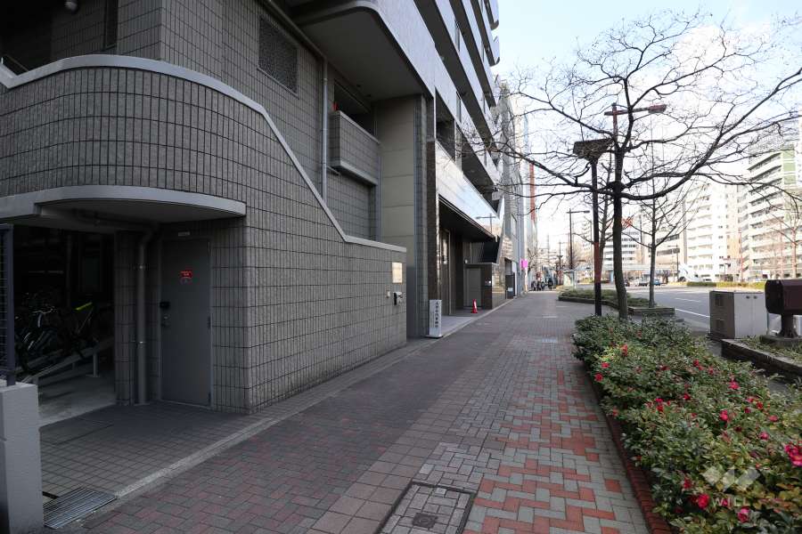 敷地北側の前面道路（東側から）