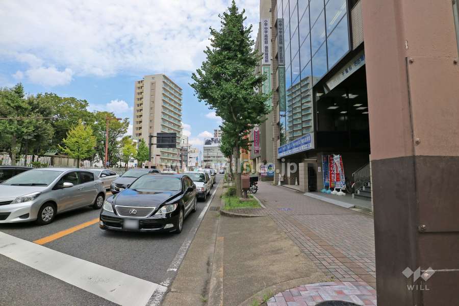 敷地北側の前面道路（西側から）