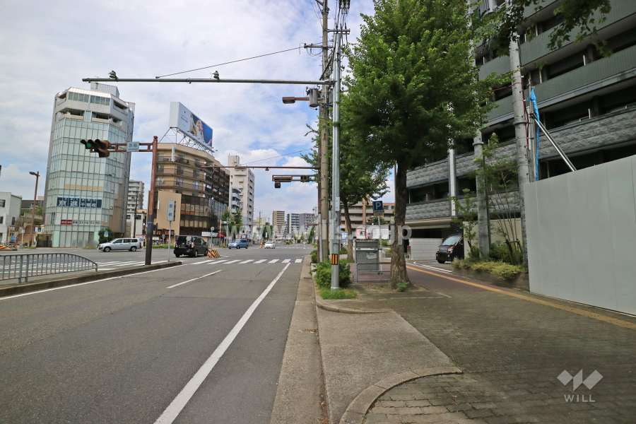 敷地西側の前面道路（南側から）
