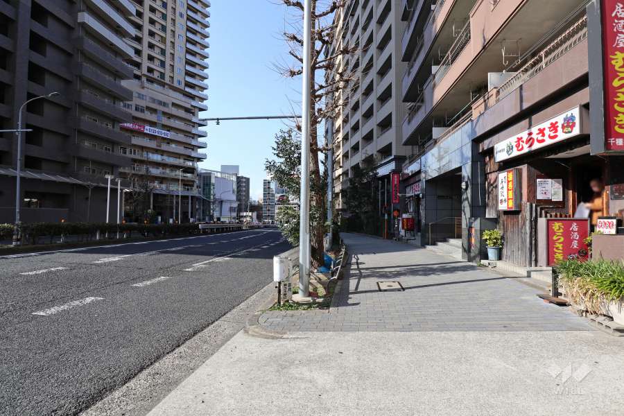 敷地南西側の前面道路（北東側から）