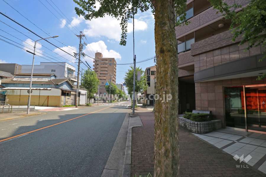 敷地北側の前面道路（西側から）