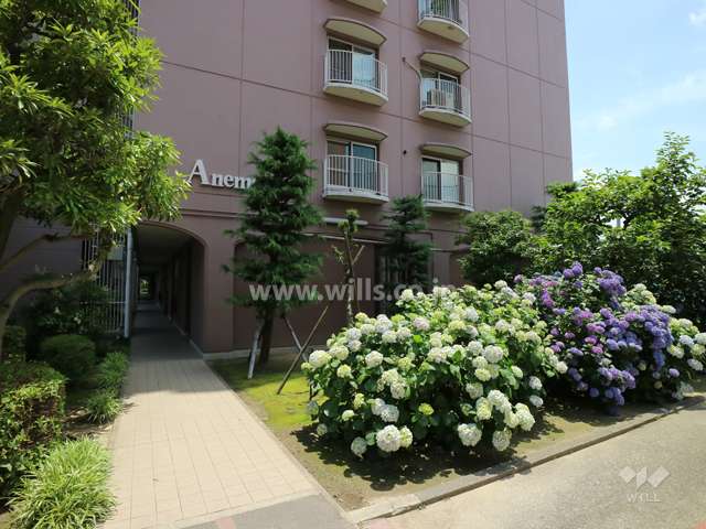 各棟の名称は花の名前になっています。A棟はAnemone。