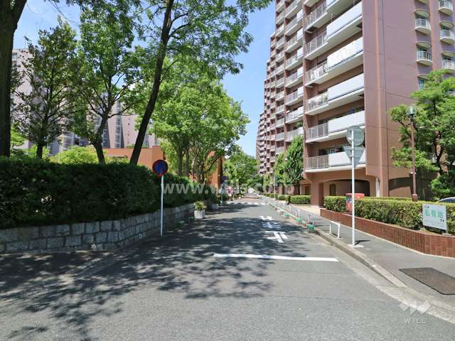 D棟前の敷地内通路