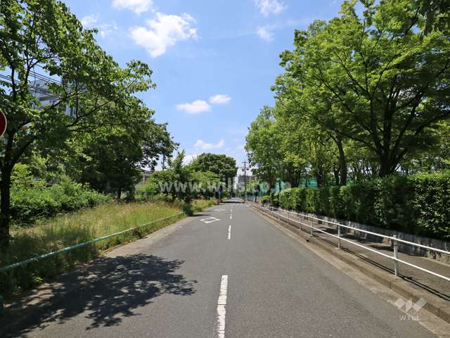 敷地の東側前面道路（北側から）