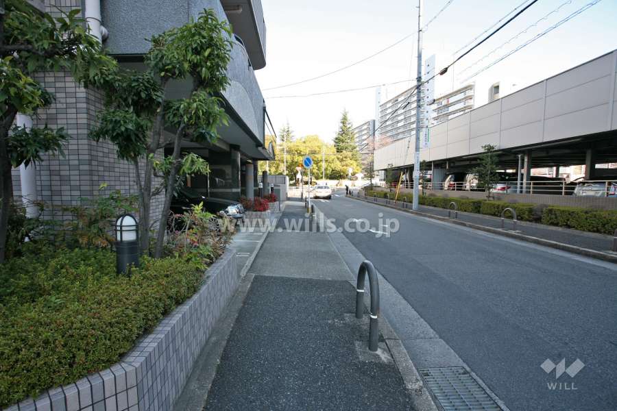 敷地東側の前面道路(南側から)