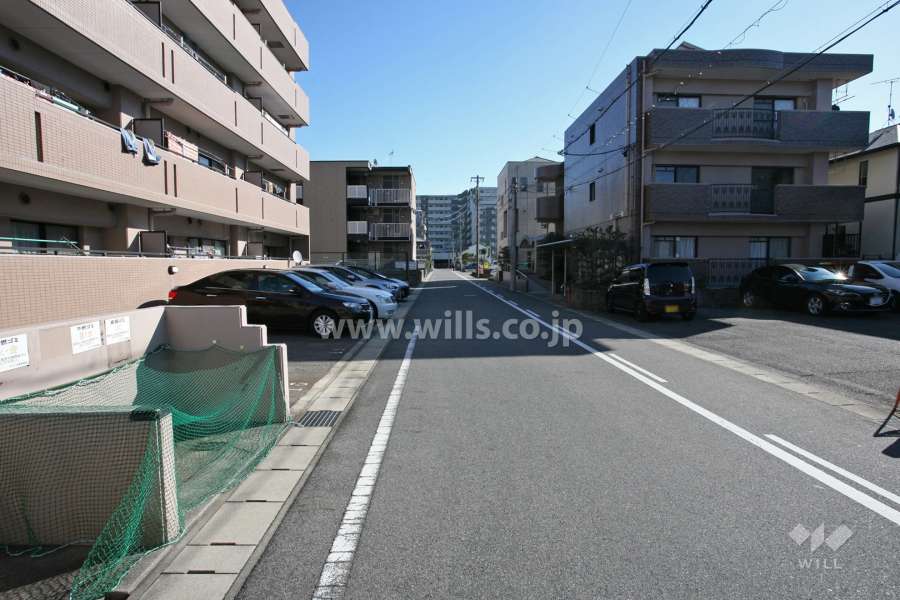 敷地南側の前面道路（西側から）