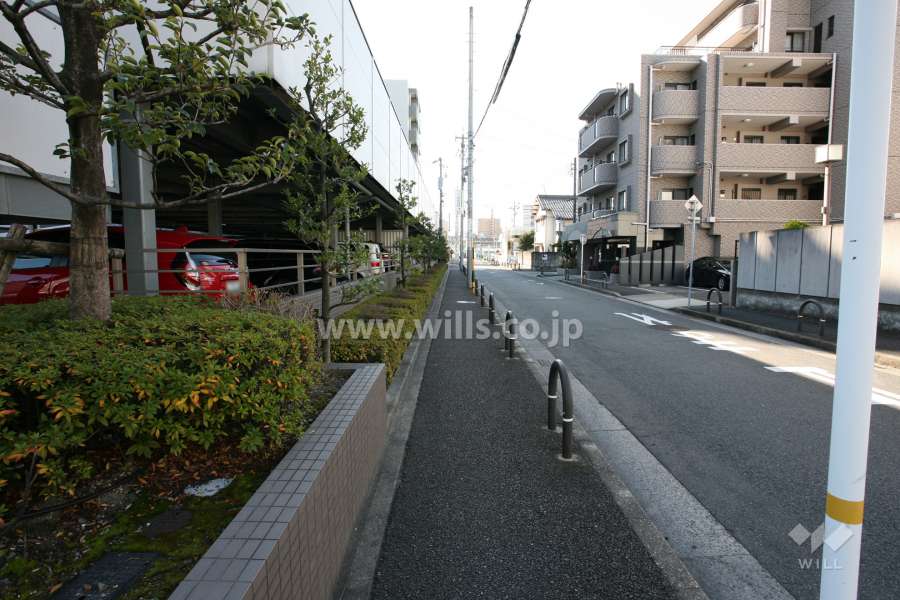 敷地西側の前面道路（北側から）