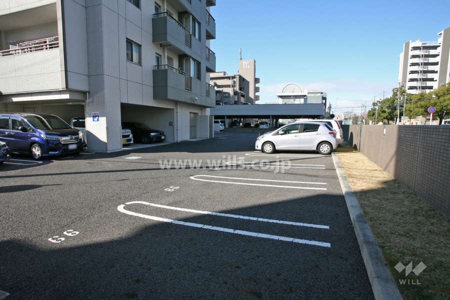 敷地内駐車場（自走式）