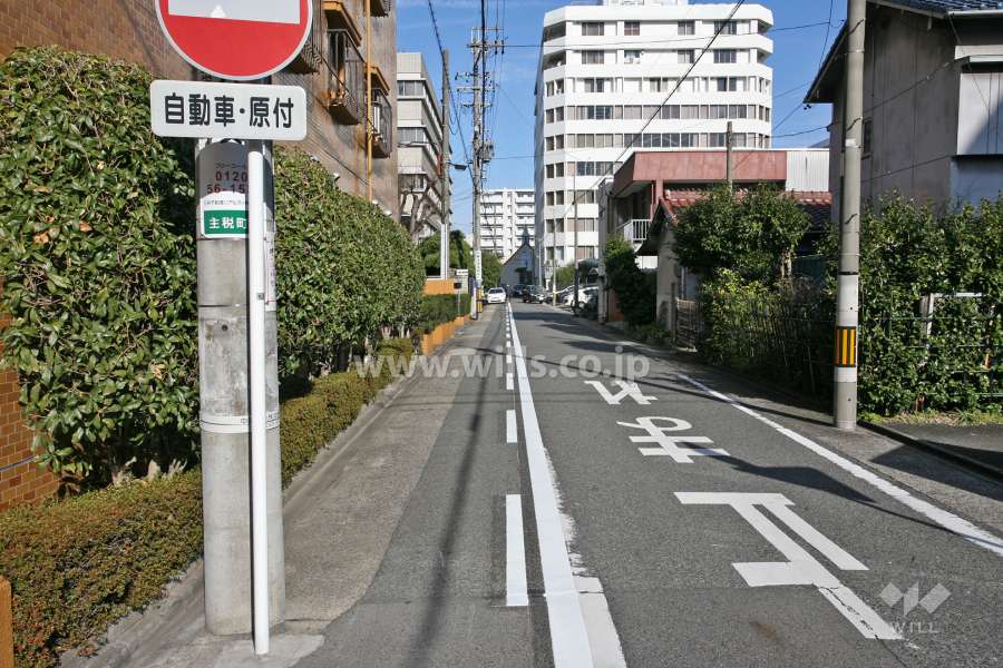 敷地東側の前面道路