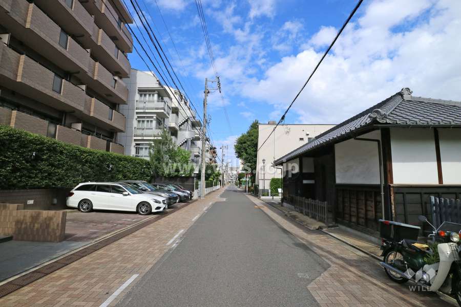 敷地南側の前面道路（西側から）
