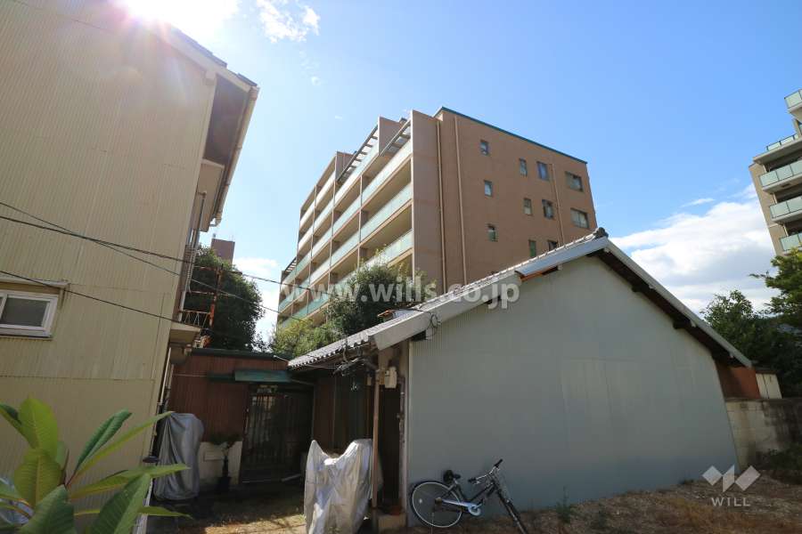 白壁町シティハウスの外観（南東側から）