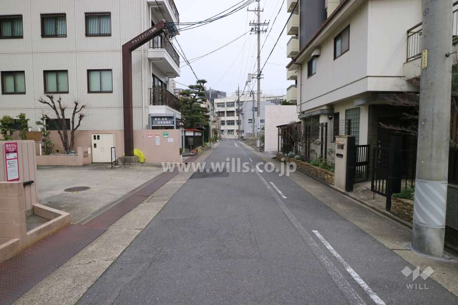 敷地南側の前面道路（西側から）