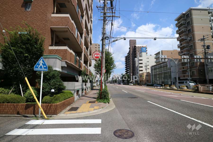 敷地南側の前面道路（西側から）