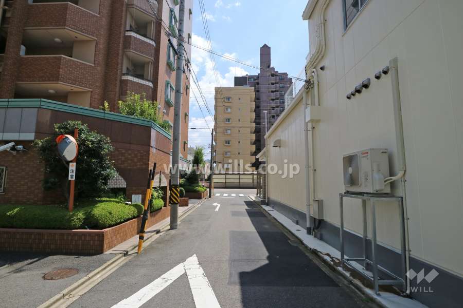 敷地西側の前面道路（北側から）
